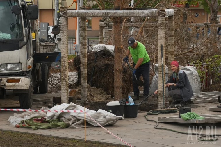 Фото: В Кемерове начали заменять пожелтевшие деревья в Парке Ангелов 5
