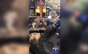 В Новосибирске специалисты демонтировали колодец ради спасения лосёнка 