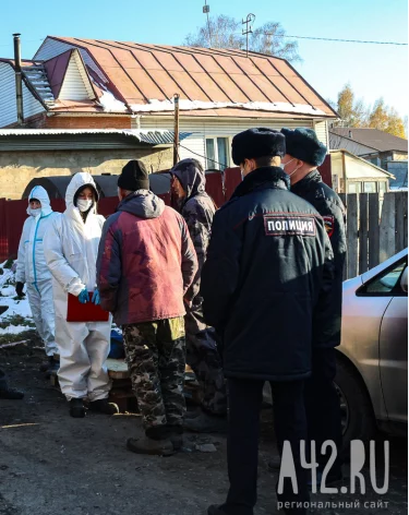 В Управлении ветеринарии рассказали о карантине в Кемерове из-за болезни свиней