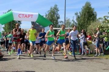 Фото: Сбербанк приглашает кемеровчан на Зелёный марафон 1