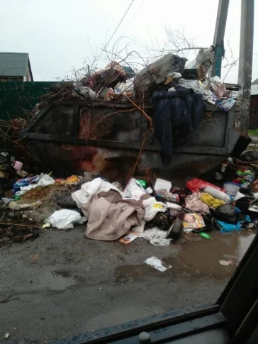 Фото: Кемеровчанин месяц не может добиться вывоза мусора в Кировском районе 2