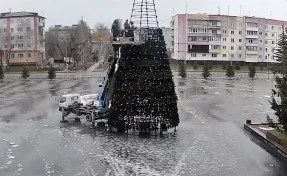 Дождь не помеха: на главной площади кузбасского города установили новогоднюю ель
