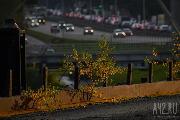 Фото: Осень в Кемерове: город, закаты и золотые деревья 20
