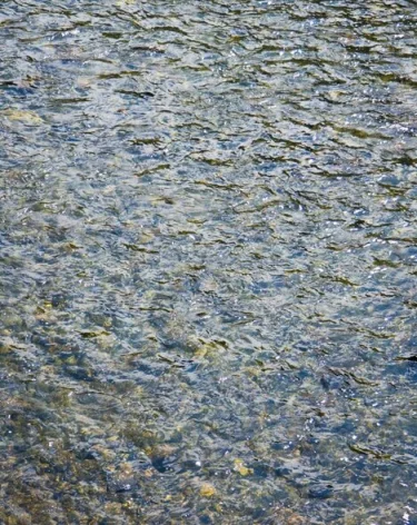 Упавший в Ивановской области Ан-22 находится в воде на пятиметровой глубине 