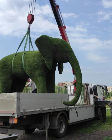 Фото: В Новокузнецке изуродованного вандалами слона отправили на реконструкцию 1