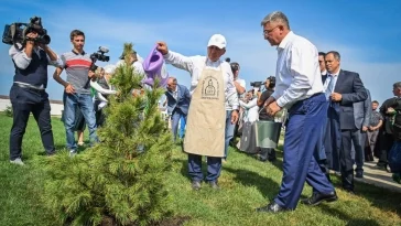 Фото: Президент Татарстана поблагодарил Сергея Цивилёва за кедры из Кузбасса 2