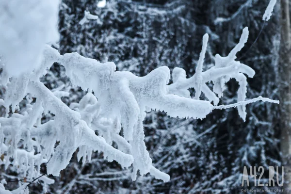 Температурный скачок от -25 до 0 ожидается в Кузбассе 9 февраля