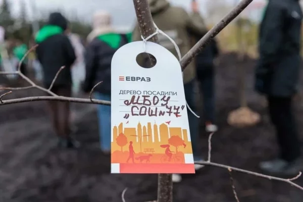 В самом молодом районе Новокузнецка появилась новая аллея