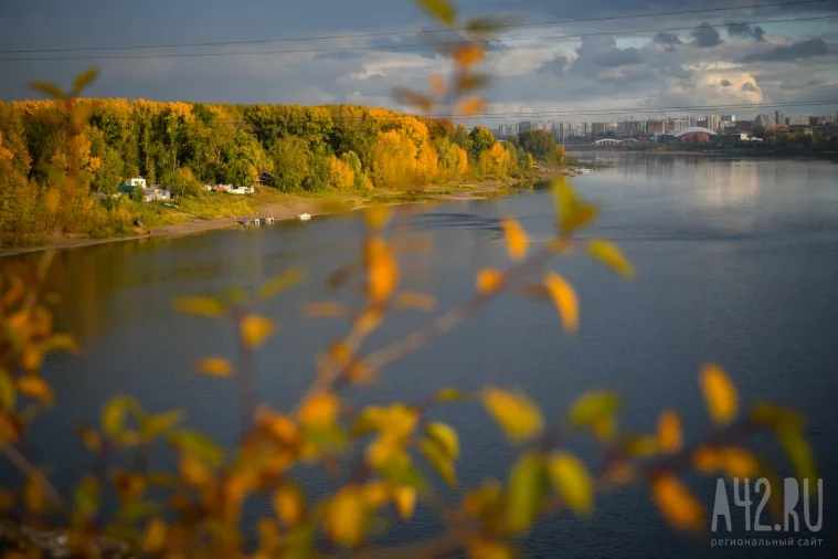 Фото: Осень в Кемерове: город, закаты и золотые деревья 22