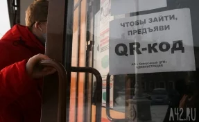 Пострадали из-за QR-кодов: в парламенте Кузбасса назвали сферы бизнеса, которые получат налоговую поддержку
