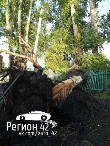 Фото: Кемеровчане делятся в соцсетях снимками последствий ночного урагана 9