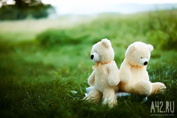 Житель Хакасии насмерть забил своего 4-месячного сына из-за плача