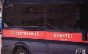 В Кемерове проводят доследственную проверку после ранения девочки в школе