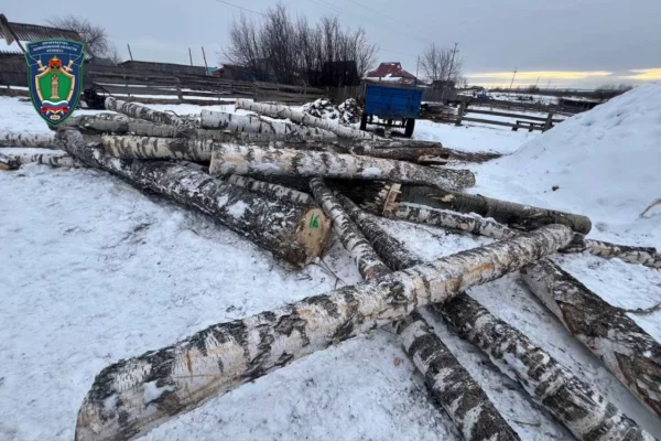 В Кузбассе у нелегального лесоруба конфисковали трактор и бензопилу