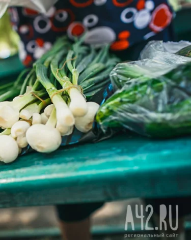 Россельхознадзор нашёл нарушения при ввозе в Кузбасс лука из Казахстана