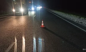 Два человека погибли после наезда на лося на трассе в Новосибирской области
