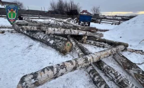 В Кузбассе у нелегального лесоруба конфисковали трактор и бензопилу