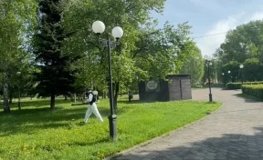 В Новокузнецке началась противоклещевая обработка общественных мест