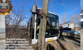 В Хабаровске водитель пассажирского автобуса потерял сознание и въехал в дерево