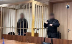 В Москве обвиняемого в убийстве двухлетнего внука отправили в СИЗО