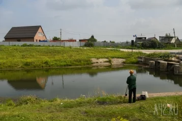 Фото: В водохранилище Кузбасса выпустили 7 тонн белого амура и белого толстолобика 1