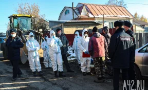 В Управлении ветеринарии рассказали о карантине в Кемерове из-за болезни свиней