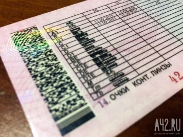 Фото: Житель Кузбасса пришёл в ГАИ обменять поддельные водительские права Таджикистана на российские 1