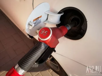 Фото: Цены на бензин в России выросли на 10%  1