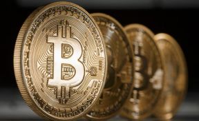 В Британии разработан метод по добыче криптовалюты из животного навоза
