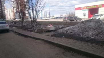 Фото: Кемеровчане возмущены грязными улицами и парками 4