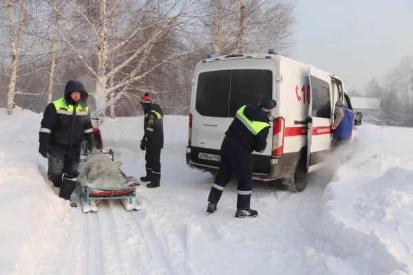 В Кемерове спасатели помогли медикам, которым не удалось добраться до пациента 