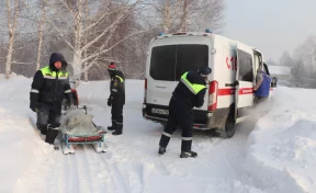 В Кемерове спасатели помогли медикам, которым не удалось добраться до пациента 
