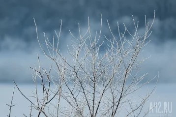 Фото: «Аномальных холодов не видно»: синоптики дали прогноз погоды на декабрь в Кузбассе 1