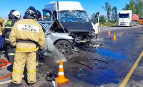 19 человек доставлены в больницу после ДТП с автобусом в Приамурье