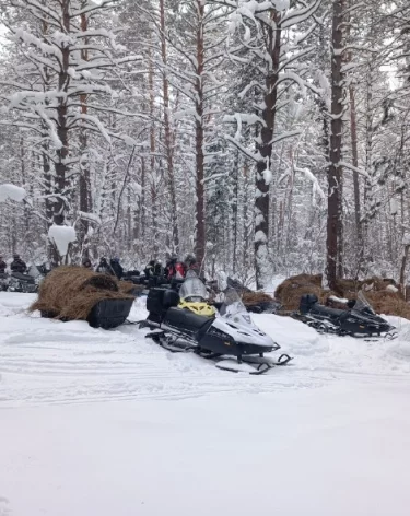 Фото: <a href=https://vk.com/im?w=wall-200752967_8512 data-testid=post-header-title data-allow-link-onclick-web=1>Минлескомплекса и охотхозяйства Кузбасса / «ВКонтакте»</a>