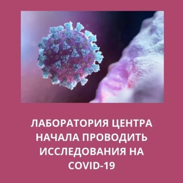 Фото: В Кузбассе ещё в одной лаборатории начали делать анализы на коронавирус 1