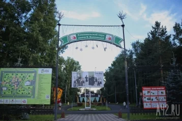 Фото: Кемеровчанин пожаловался на отсутствие освещения в Комсомольском парке 1