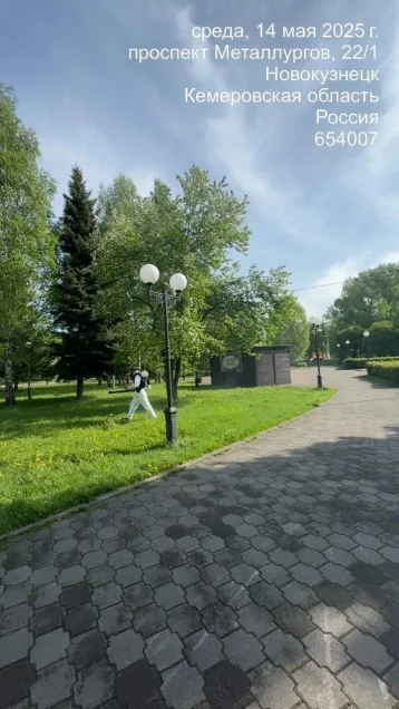 Фото: В Новокузнецке началась противоклещевая обработка общественных мест 1