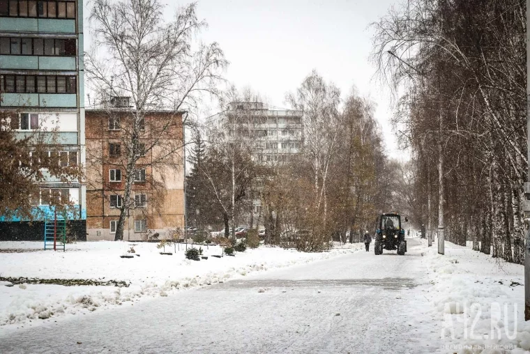 Фото: Лёд, соль, травмы и мёртвые косули. Чем опасны и чем полезны противогололёдные реагенты в Кузбассе 4