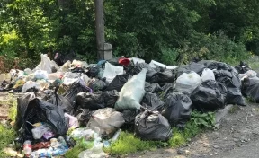 «Неужели мы сами это делаем?»: мэр Новокузнецка призвал горожан не мусорить