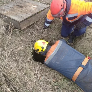 Фото: В Кемерове шесть щенков провалились в траншею теплотрассы 1