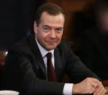 Фото: Медведев представил план действий правительства России до 2025 года 1