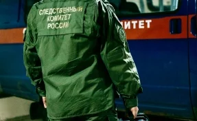 В Кировской области подростка обвинили в убийстве 10-летнего мальчика