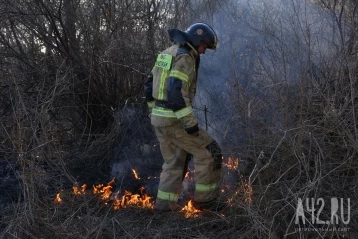 Фото: В Сосновом бору в Кемерове загорелась трава 2