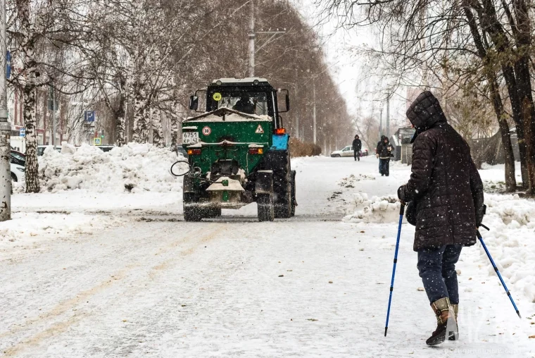 Фото: Лёд, соль, травмы и мёртвые косули. Чем опасны и чем полезны противогололёдные реагенты в Кузбассе 3