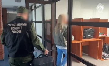 Фото: В Кемерове вынесли приговор второй фигурантке дела о незаконной легализации в РФ 11 иностранцев 1