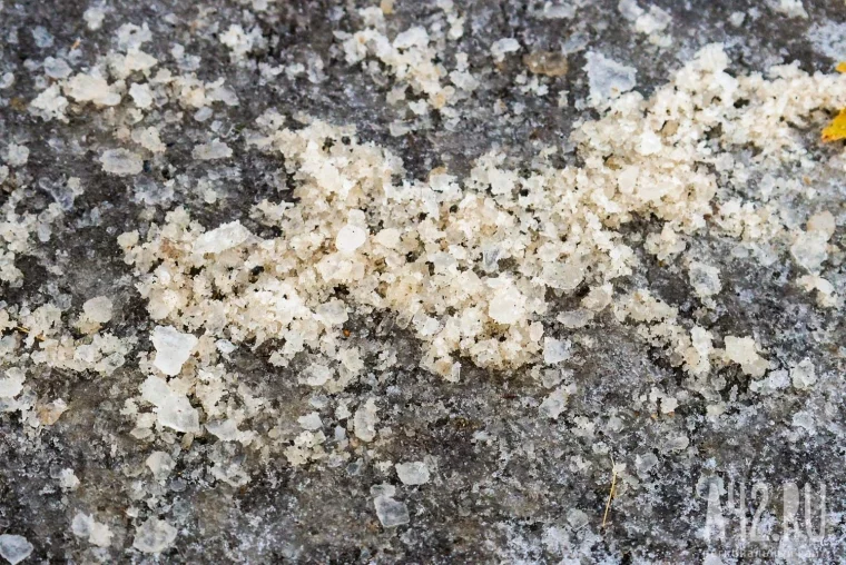 Фото: Лёд, соль, травмы и мёртвые косули. Чем опасны и чем полезны противогололёдные реагенты в Кузбассе 1