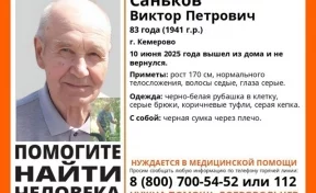 В Кемерове ищут без вести пропавшего 83-летнего мужчину с чёрной сумкой