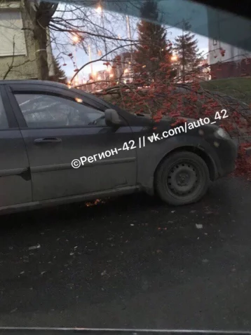 Фото: В сети появились фото последствий сильного ветра в Кемерове 2