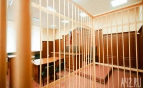 Суд в Кемерове отправил под стражу обвиняемого в убийстве мужчины в Осинниках